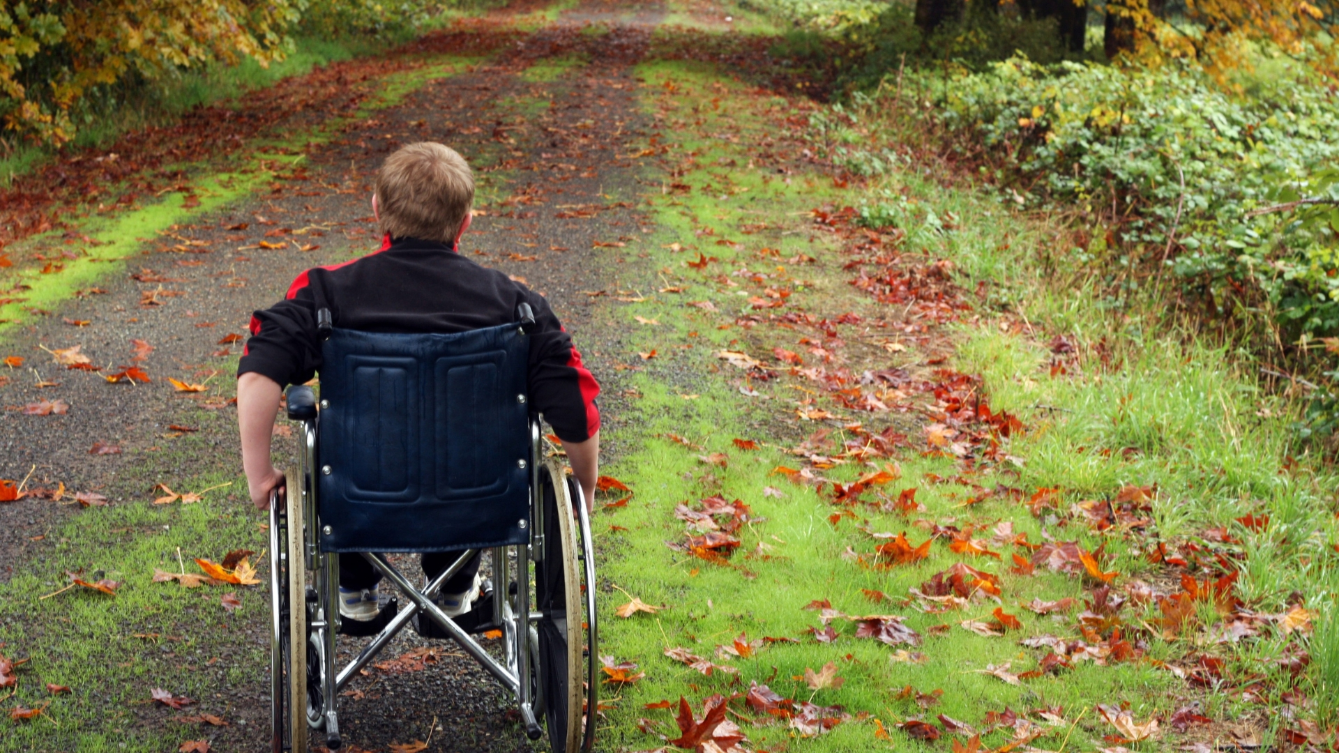 A man using a wheelchair is photographed from behind on a walking train in the woods in Fall.