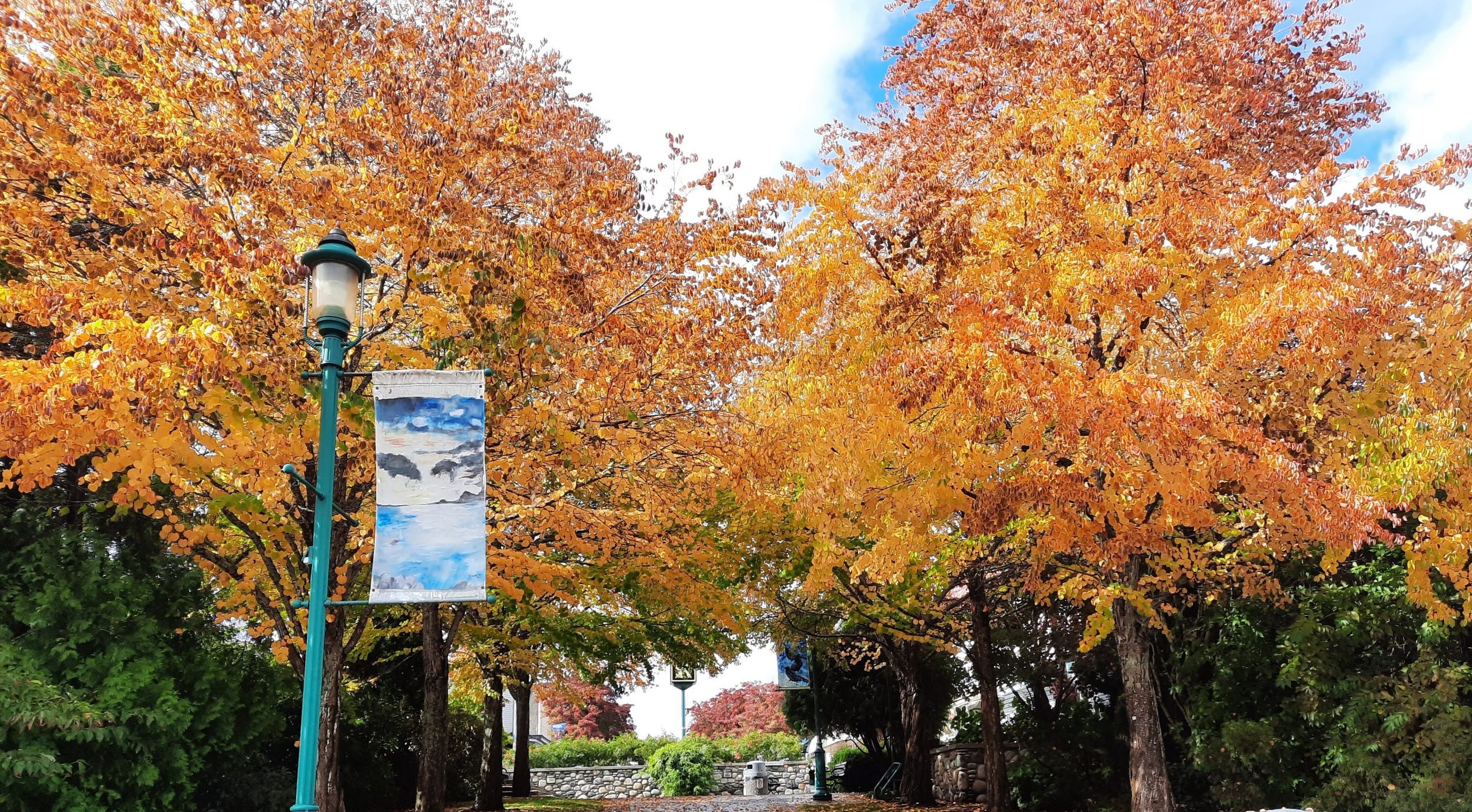 Street with trees and a streetlight in Qualicum Beach