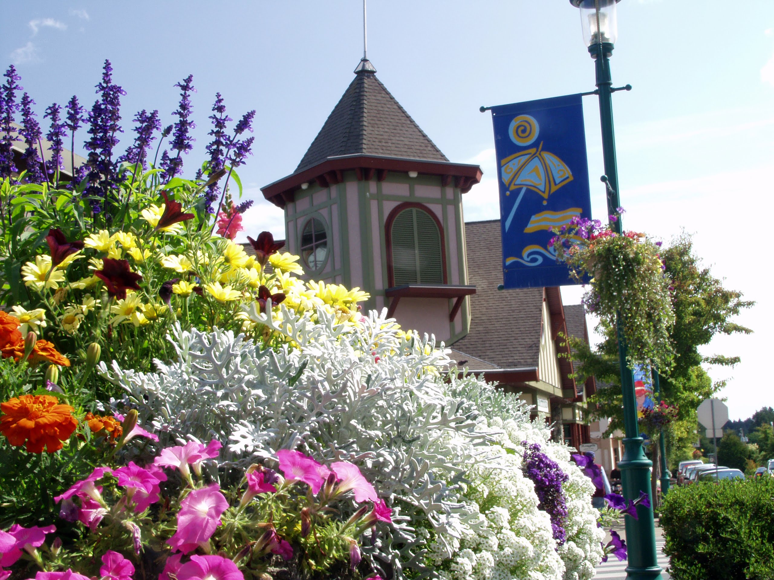 A close up of flowers with a building in the background.