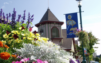 Street Banner Artist Program