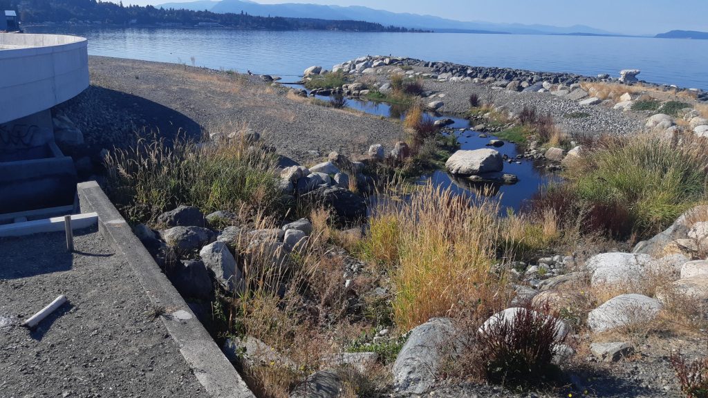 Beach Creek Estuary with rocky patches and grass along the water's edge, set against a backdrop of mountains.