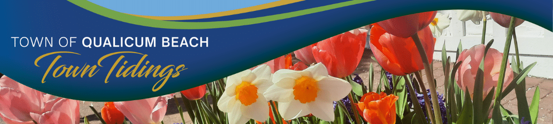 Town Tidings May banner