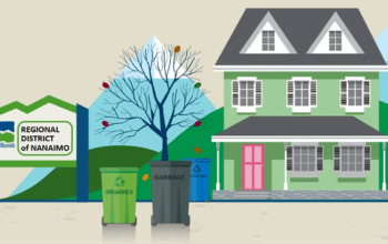 Cardboard collection Transition to RDN
