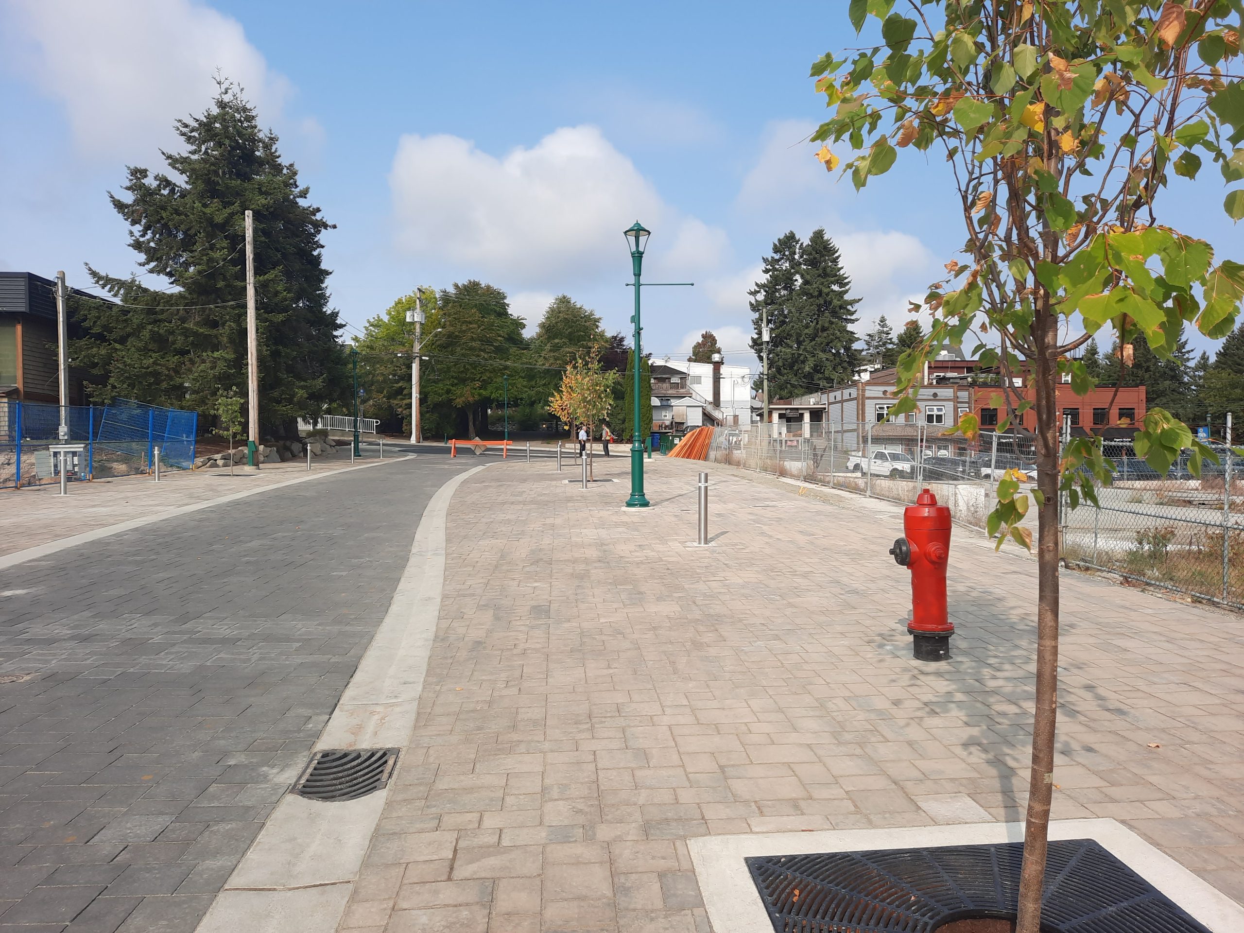 Empty road running alongide brown brick sidewalk, with a sapling tree in the foreground and a fire hydrant and lamppost in the background.