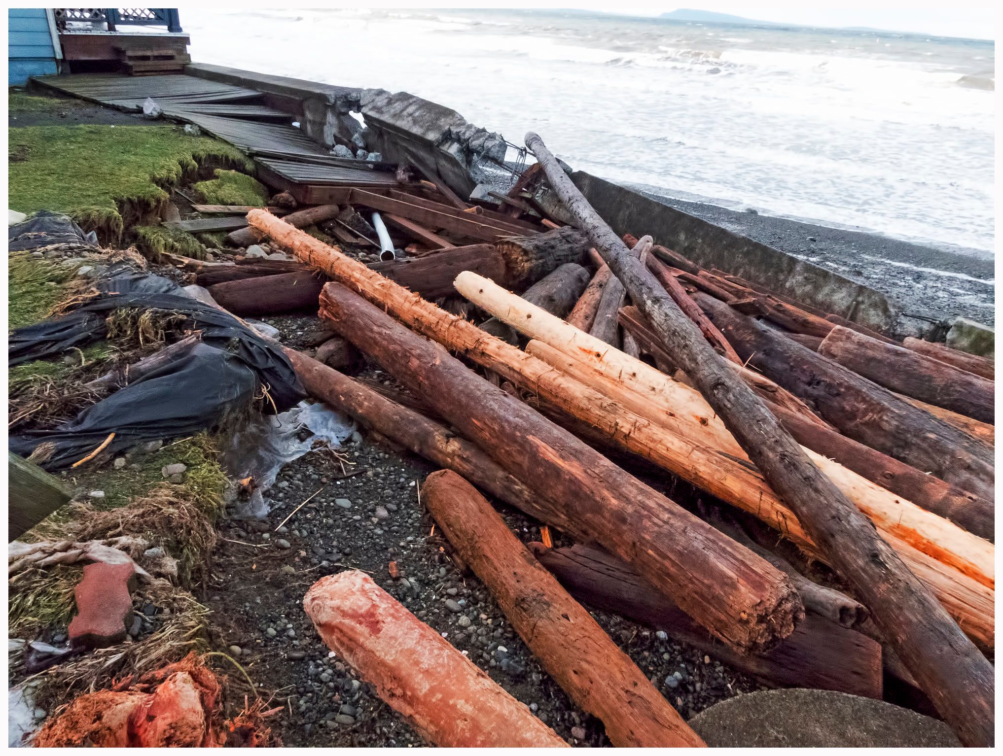 Logs of wood on the beach next to the water.