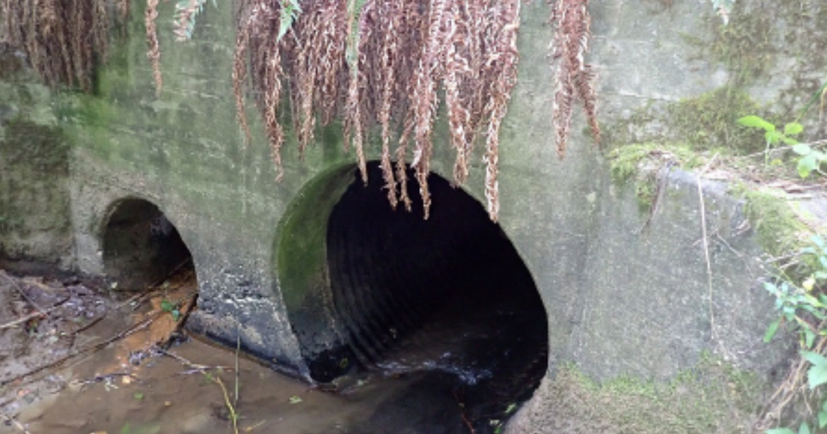 Beach Creek Culvert Replacement