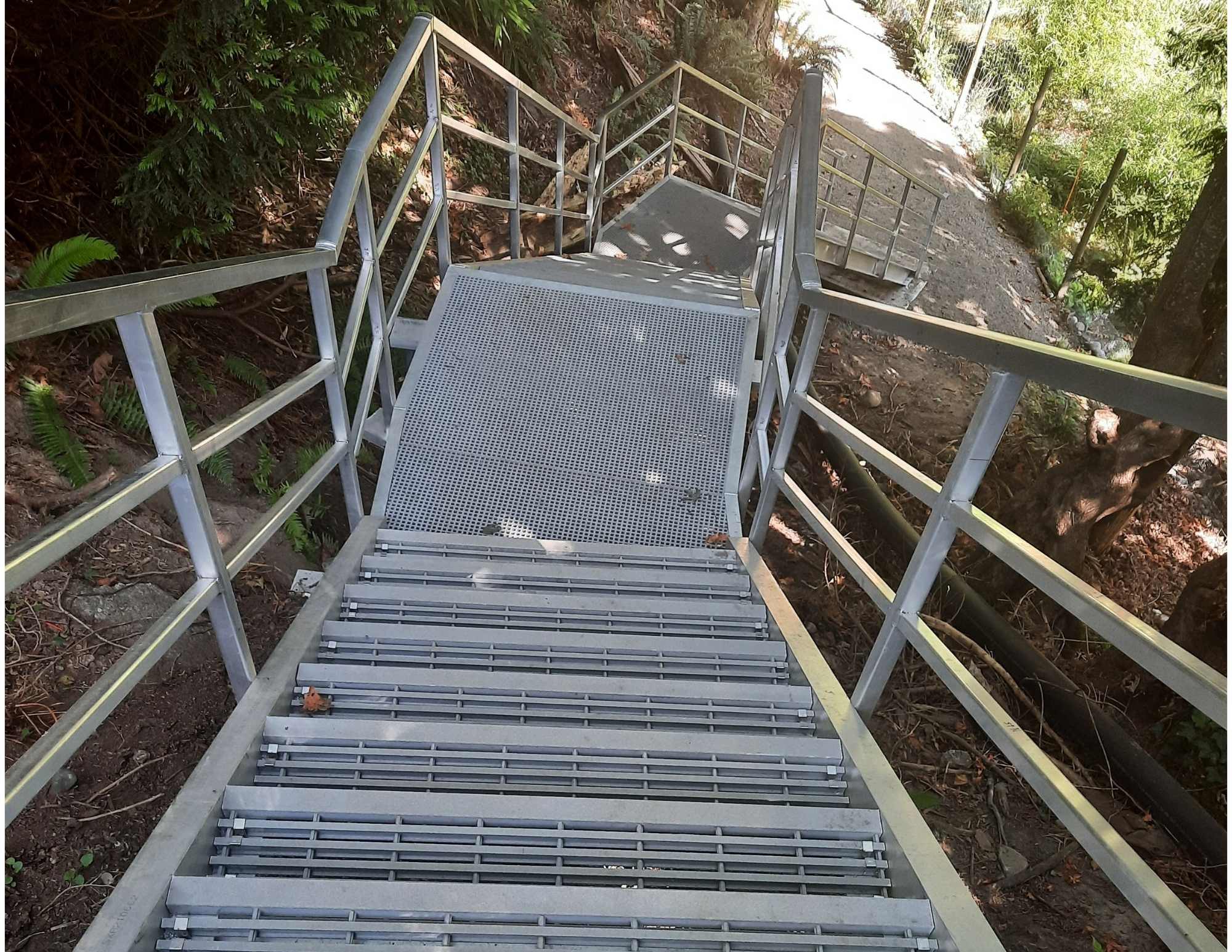 Photo of the Rodway Trail stairs.