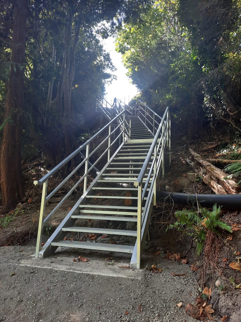 Photo of the Rodway Trail stairs from the bottom.