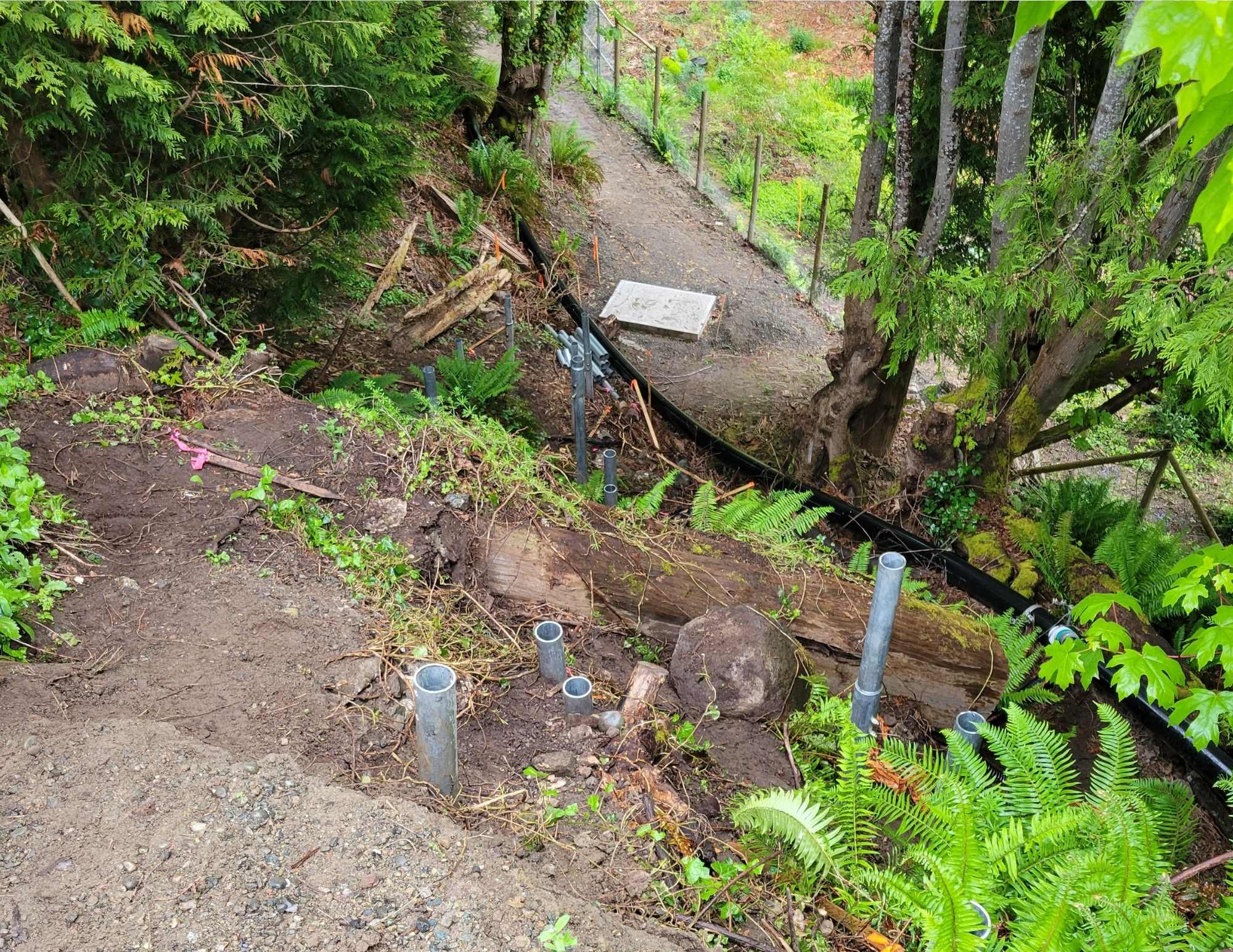 Early stages of the Rodway Trail stairs construction with a dirt path, trees, and poles in the ground.