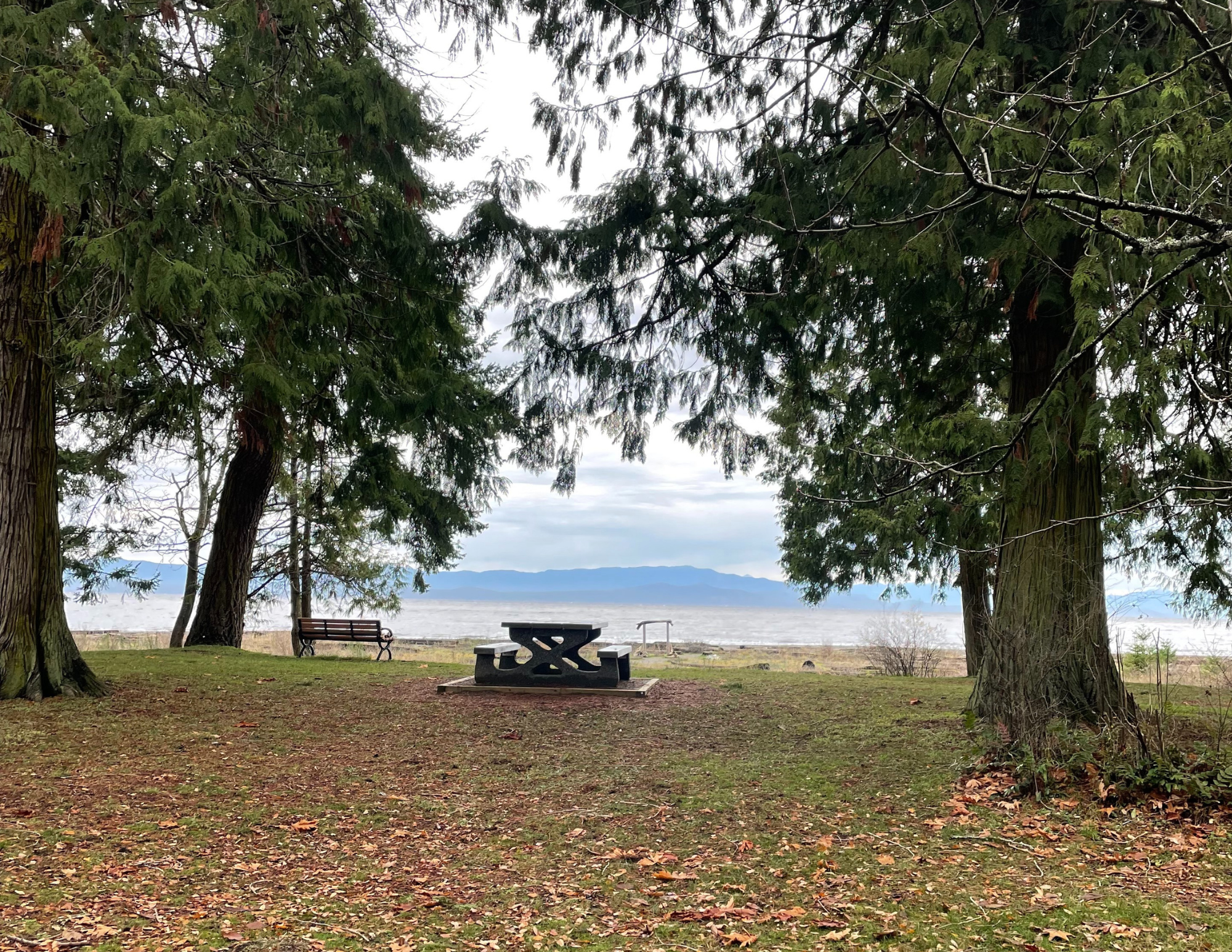 A picnic bench on a grassy area surrounded by trees, with Saahtlam Beach visible in the background.