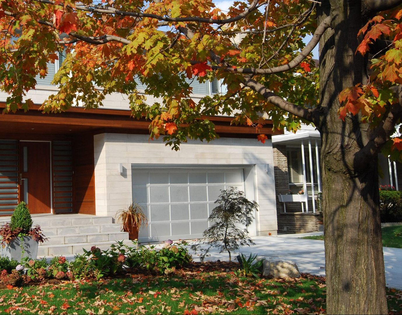 a suburban home with a large maple tree in the front yard