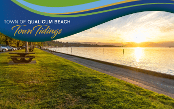 Town newsletter Feb 2026Feb 2026 web