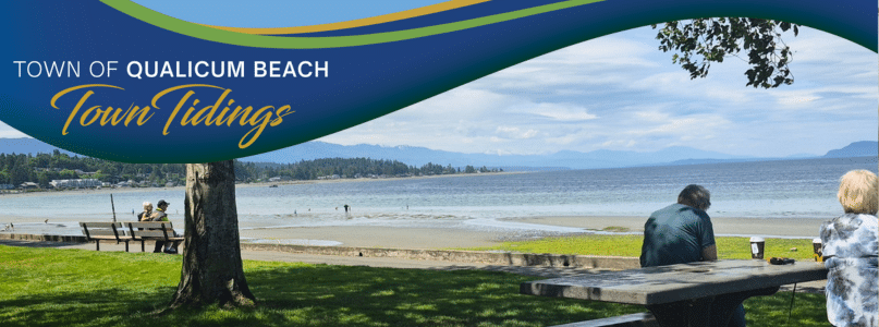 Town Tidings Newsletter July 2025