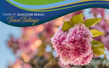 Town TIdings May news