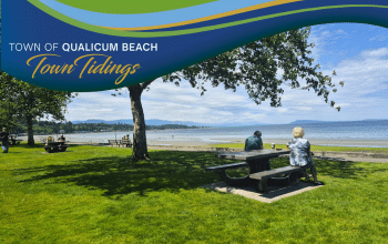 Town Tidings July 2025