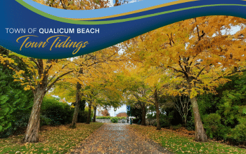 Town Tidings Oct 2025