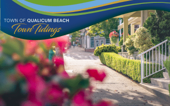 Town Tidings Sept 2025