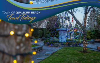 Town Tidings Newsletter Dec 2025