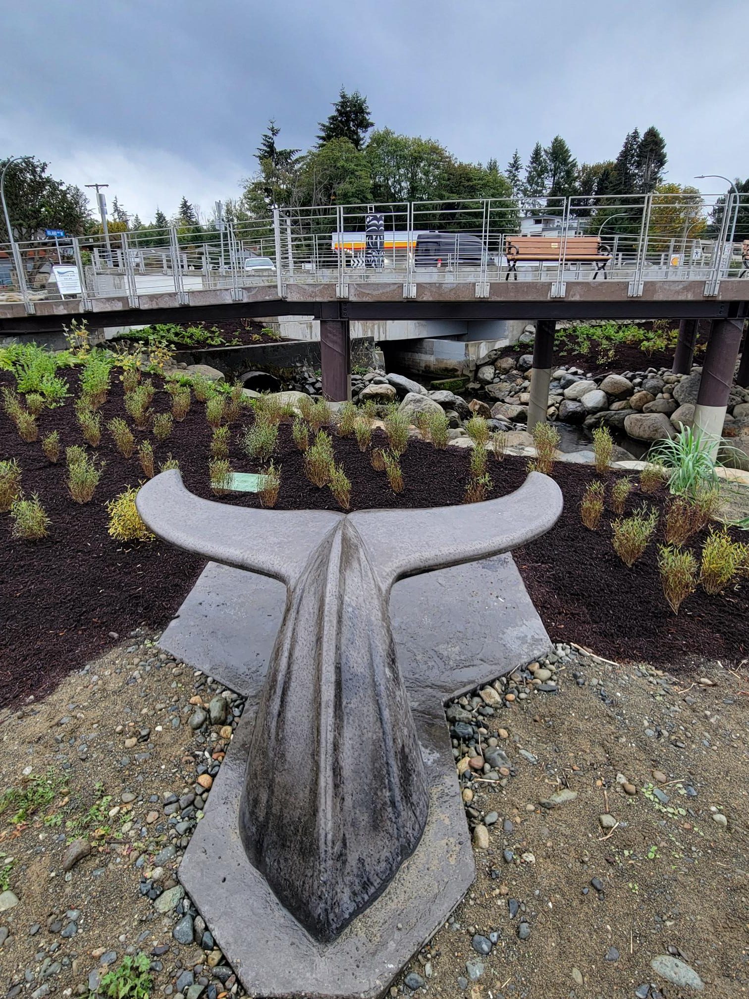 A far away angle of the Viewing Platform and Walkway, showing a bridge over a creek and showcasing a newly planted garden.