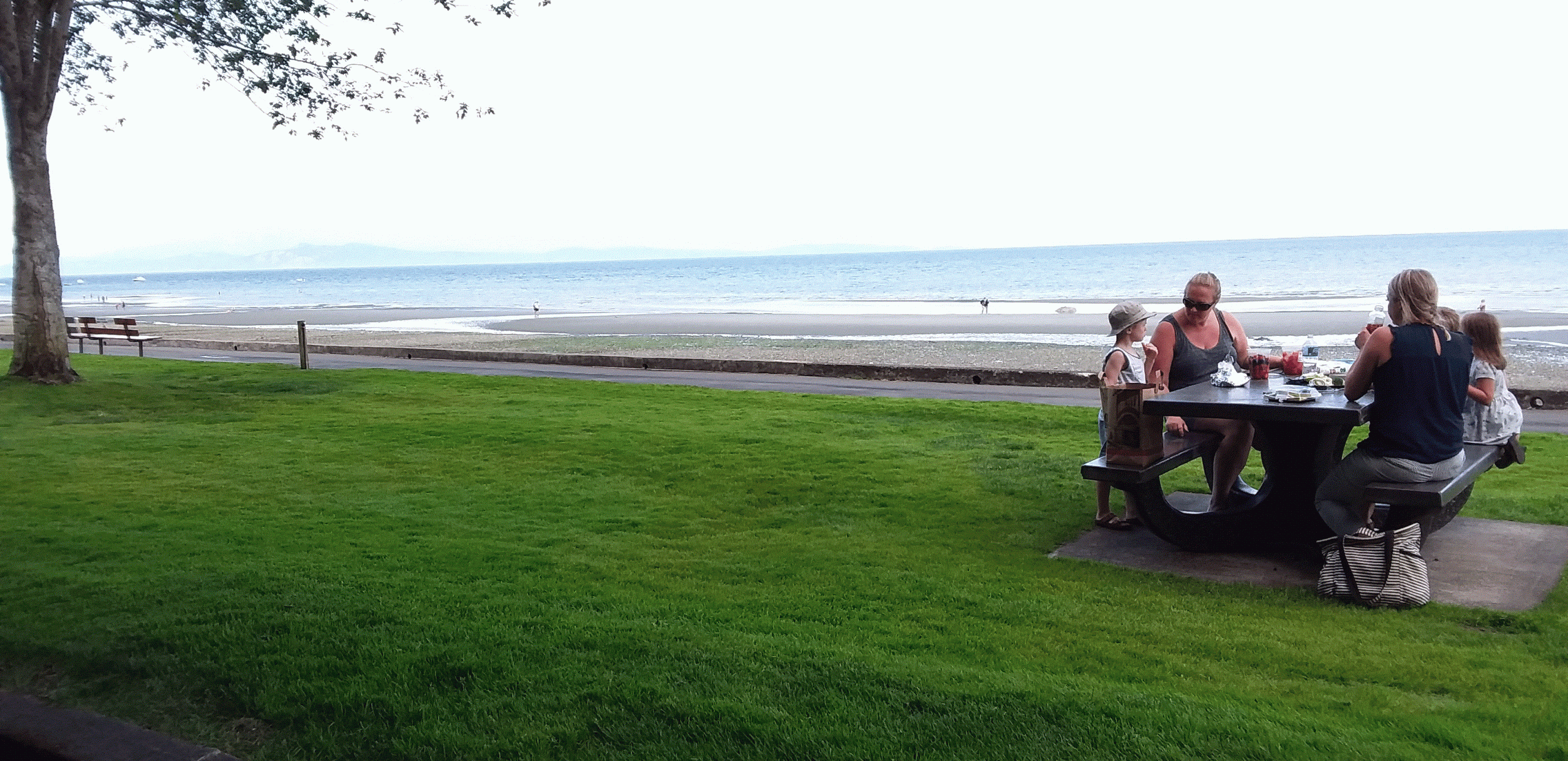 A family enjoys a picnic at a beachside table in a park with the ocean and shoreline in the background.