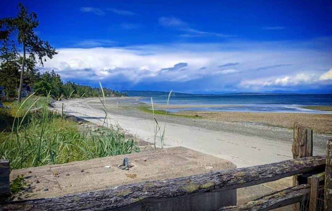 Photo of a beach on a sunny day with blue skies.