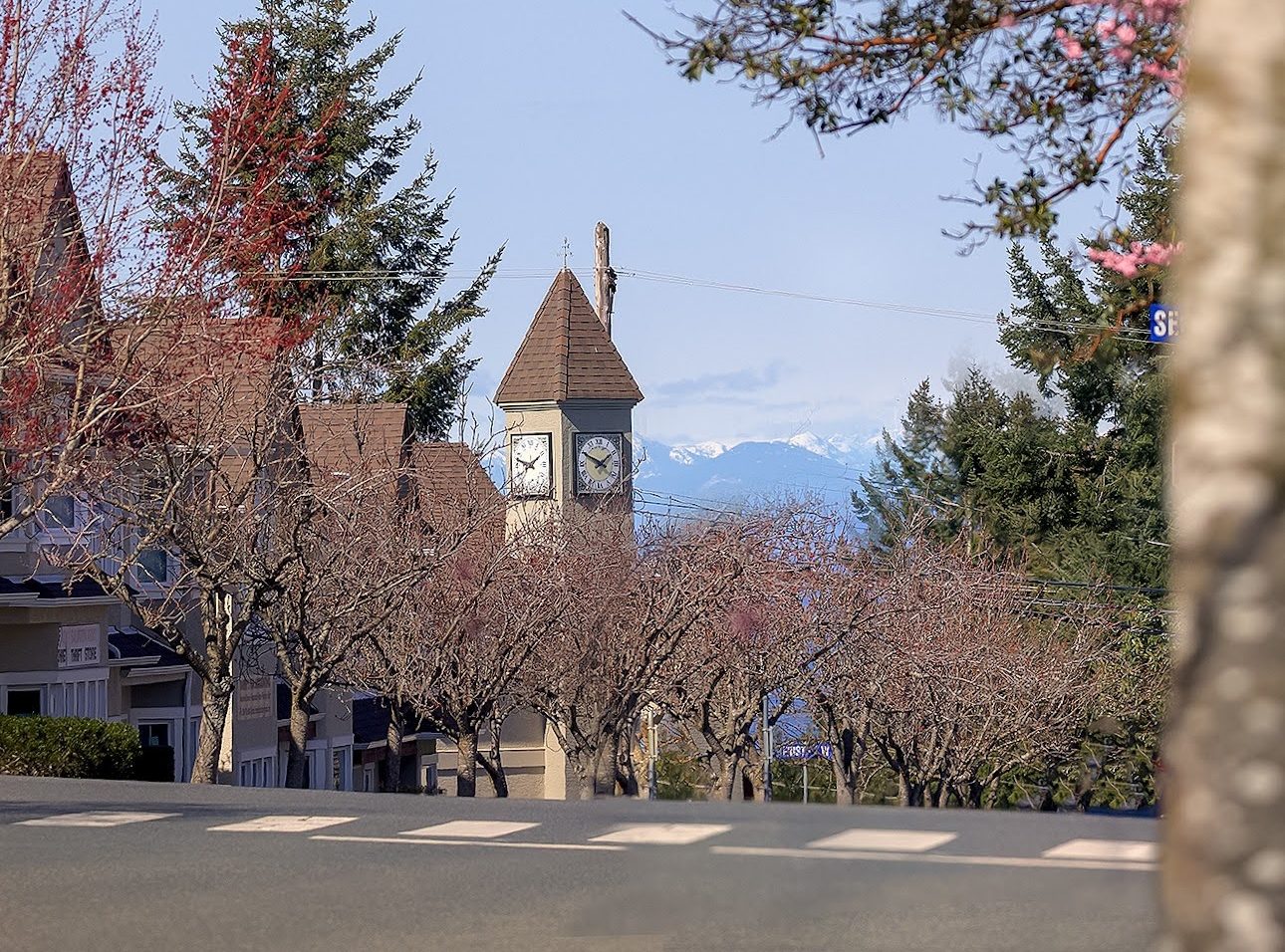 A tree-lined street with red trees, houses on either side, a clock tower building in the background, and mountains under a blue sky.