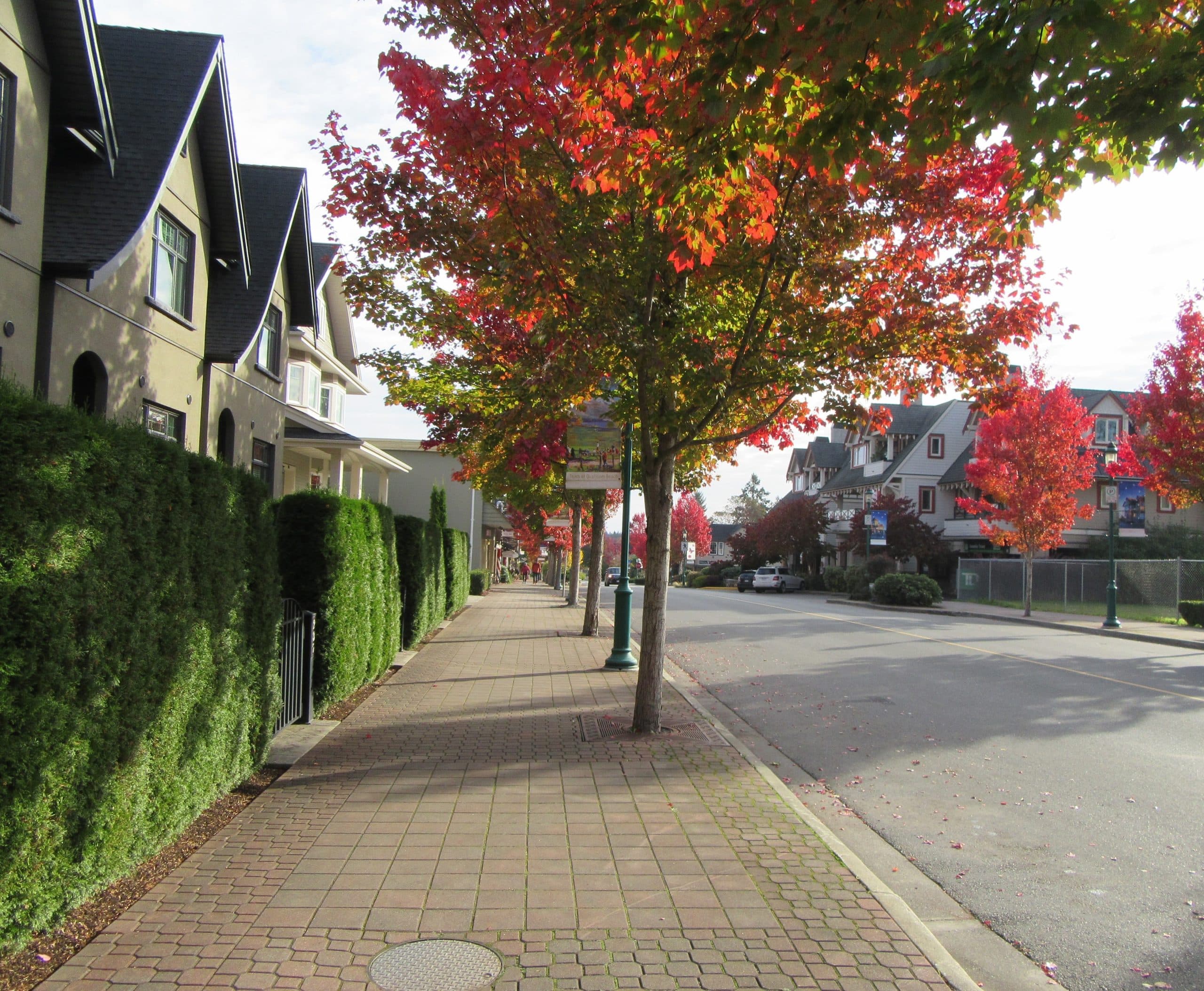 A photo of a residential street lined with houses on both sides, featuring trees with red fall leaves.