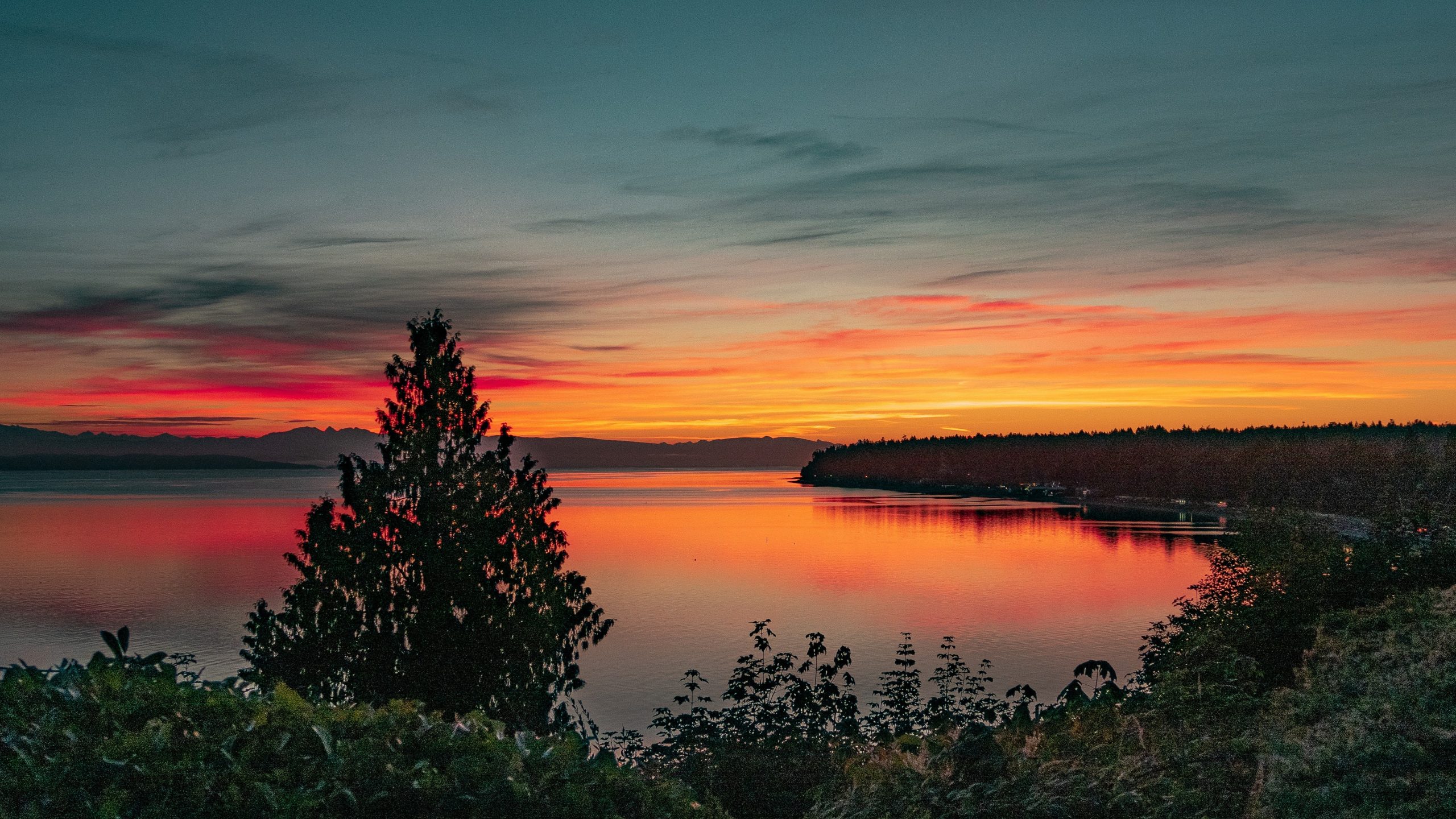 A pond, surrounded by trees with the sun setting.