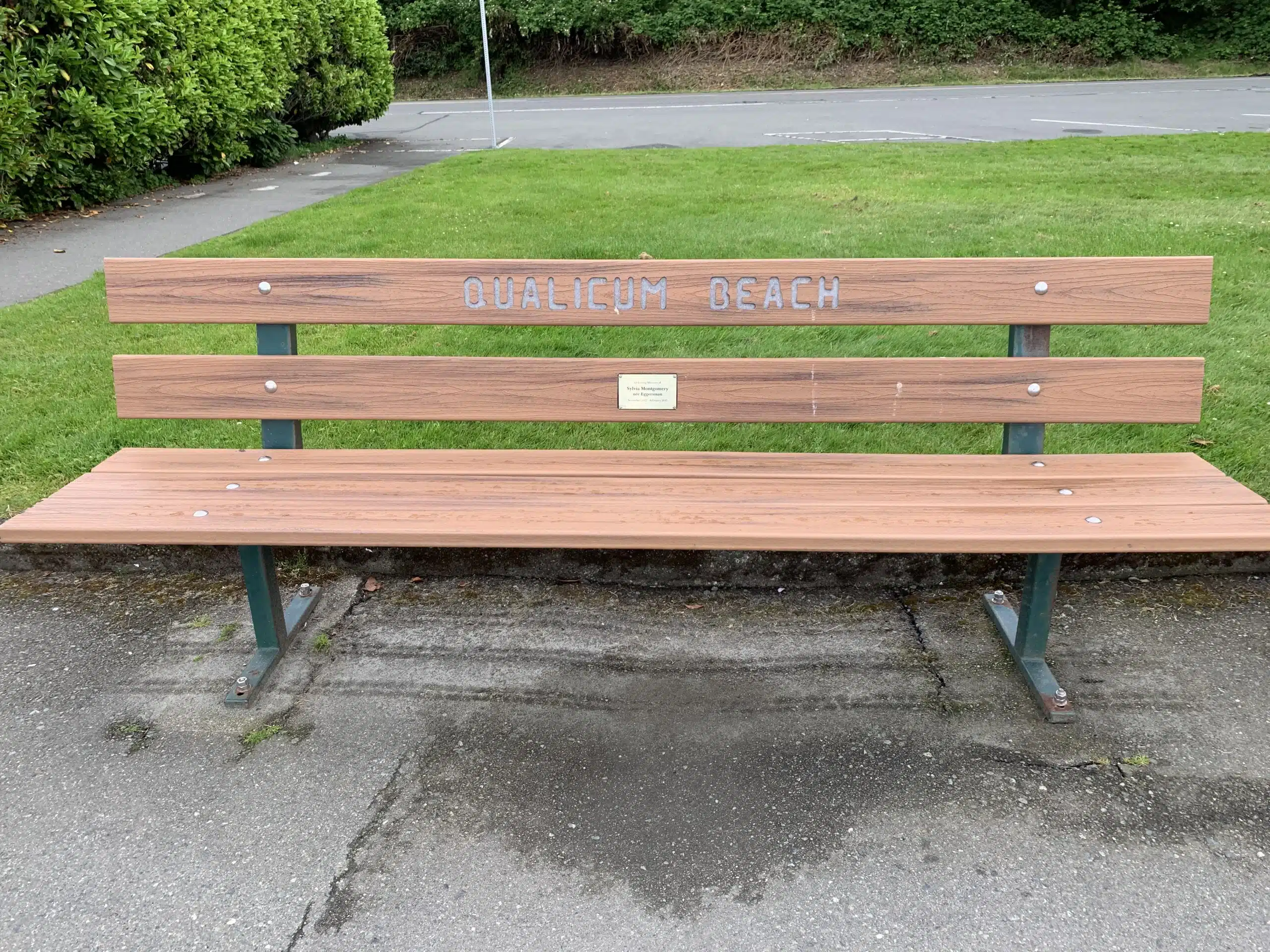 Wooden bench with dedication plaque in the centre of the backrest.