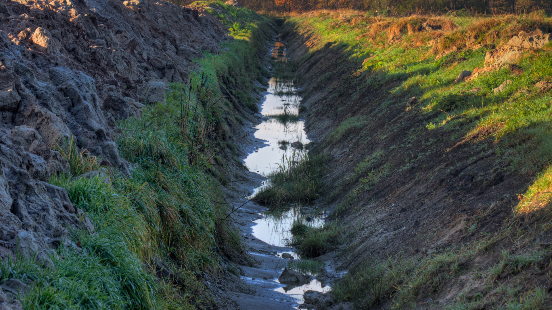 A ditch.