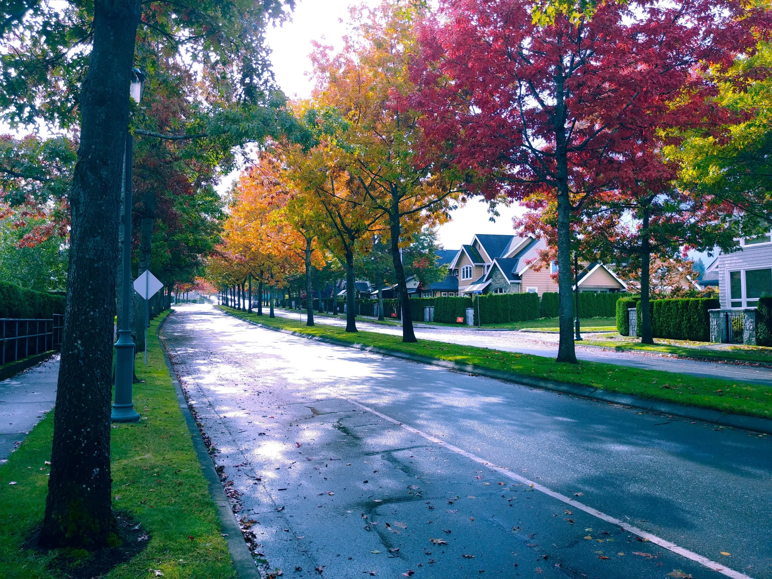 Trees with green, orange and red leaves line an empty street.