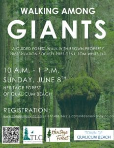 poster for the event