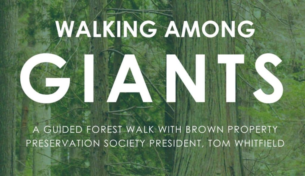 Walking with Giants poster