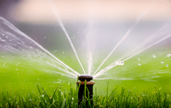 Water sprinkler on lawn