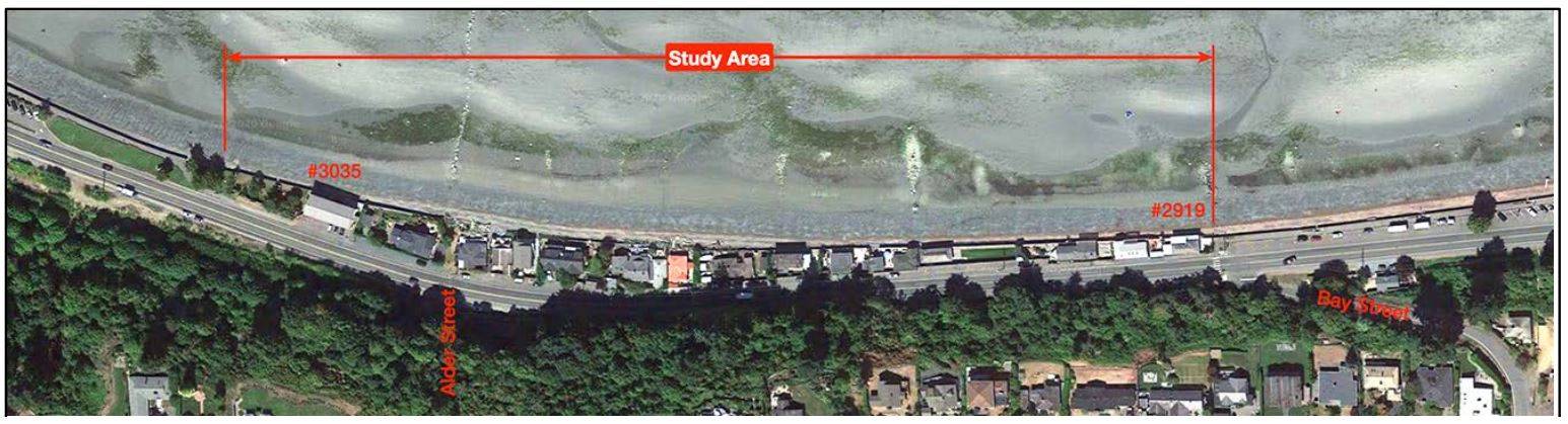 An aerial view of the beach with houses along the shoreline, a road, and a red line marking the 