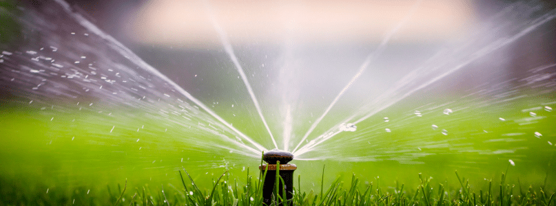Water sprinkler on lawn